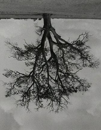 Rodney Graham