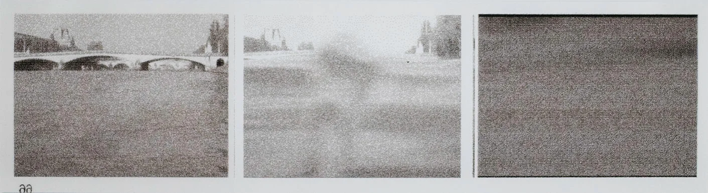 CNS.2011.003_Liden.jpg
