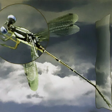 Peter Campus, Drifter, 1993