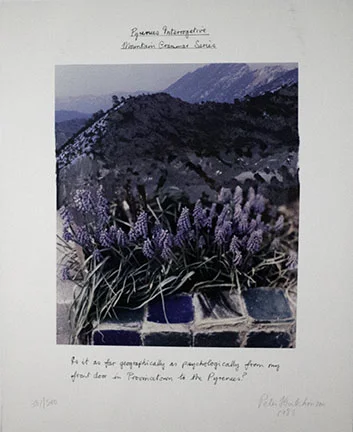 Peter Hutchinson, Pyrenees Interrogative, 1986