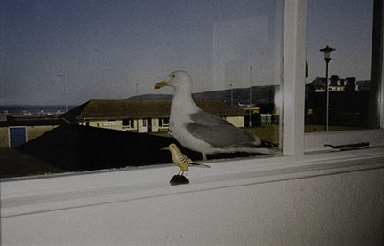 Mona Hatoum, Birds of a Feather, 1997