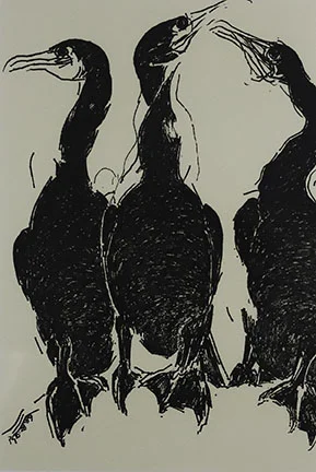 Pat de Groot, Cormorants (#2), 1991