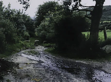 Willie Doherty, Border Crossing, 1994
