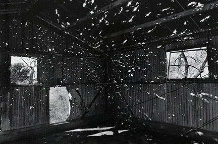 Barbara Norfleet, Naval Weapons Testing Base: Abandoned, The Sal