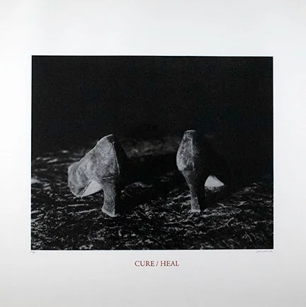 Lorna Simpson, Cure/Heal, 1992