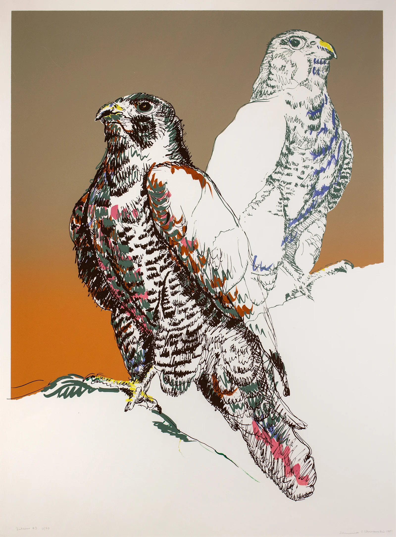 Samina Quraeshi, Untitled, 1981