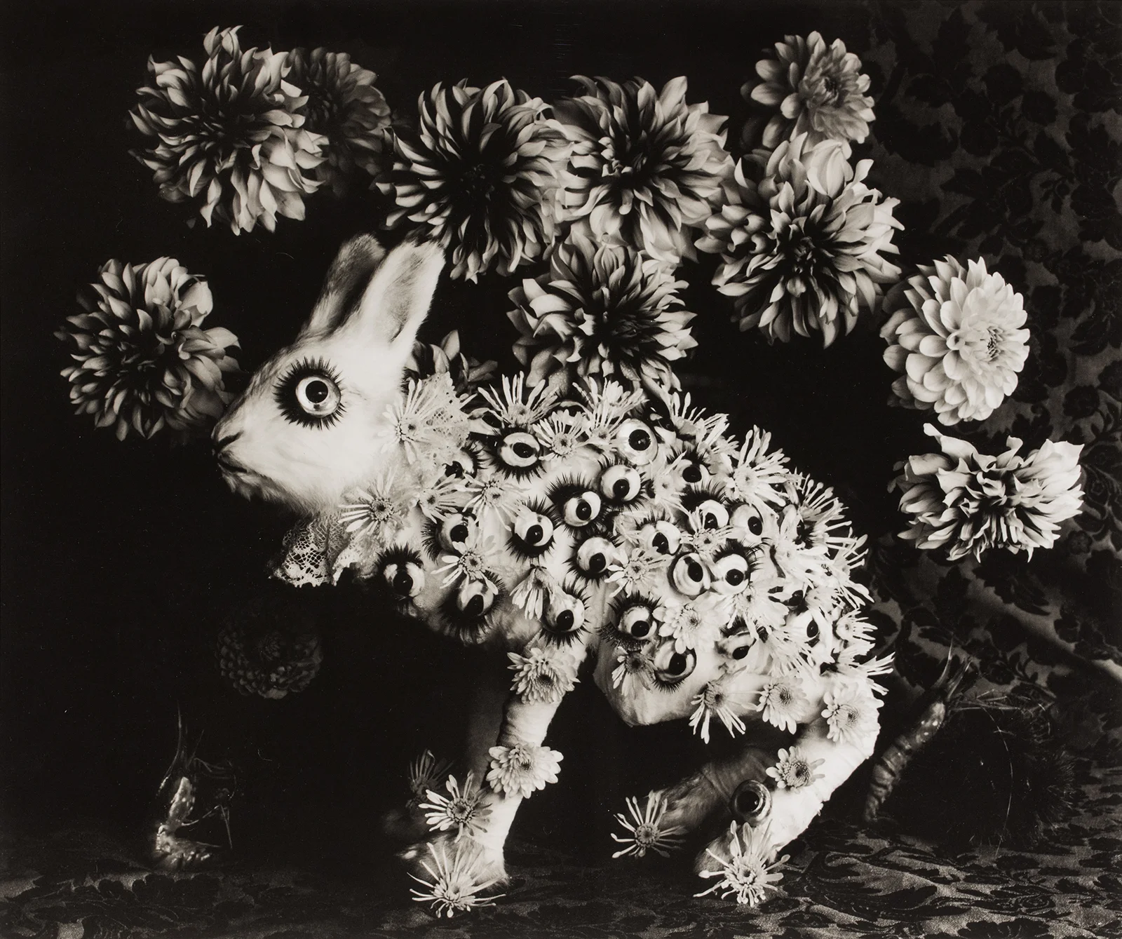 Michiko Kon, Rabbit and Eyes, 2015