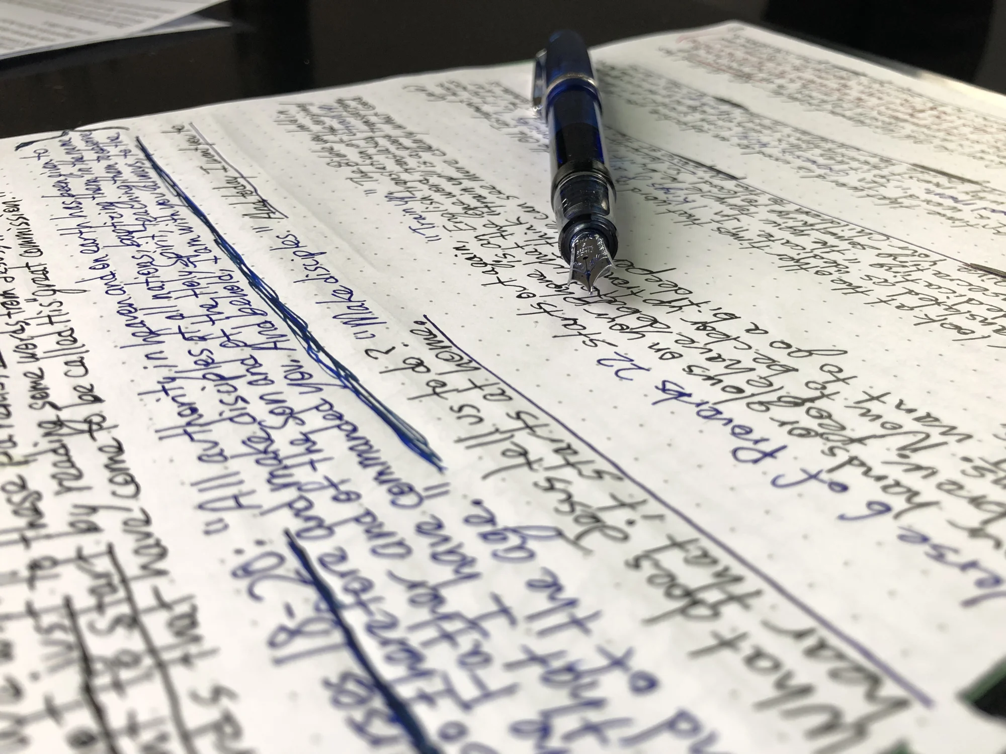 PastorandPen.Manuscript1.jpg