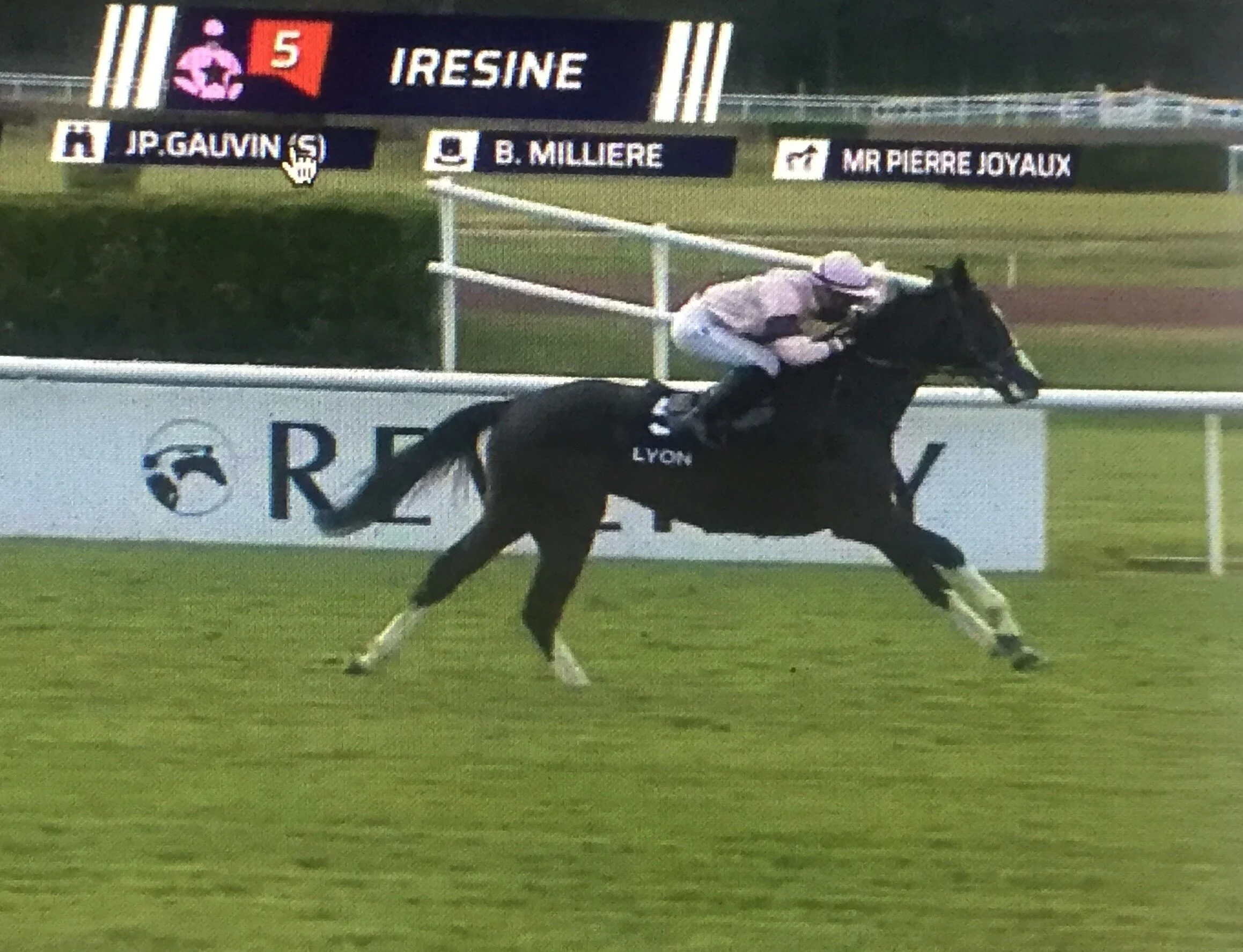 5e victoire iresine.JPG