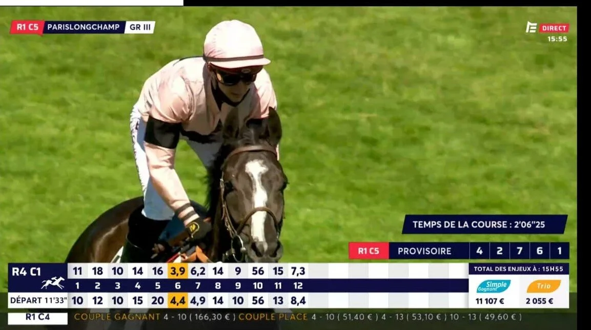 Iresine le coupe2.jpg