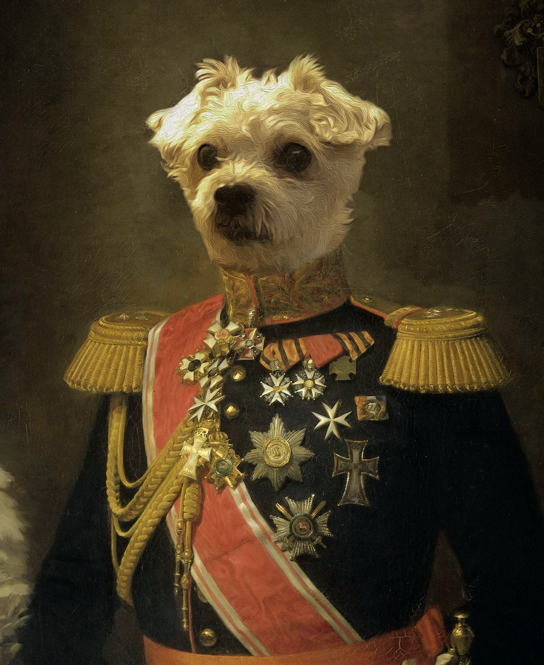 Bruin Portrait copy.png