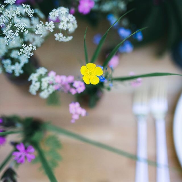 Hi buttercup 👋 
A dreamy shoot with @harrietcroftph my very talented cousin! 😘
📸 @harrietcroftph 
#britishblooms 
#homegrown 
#grownbyme
#britishflowers 
#grownnotflown
#cuttinggarden 
#flowerpatch 
#gardeningflorist 
#gardengathered 
#seasonalflo