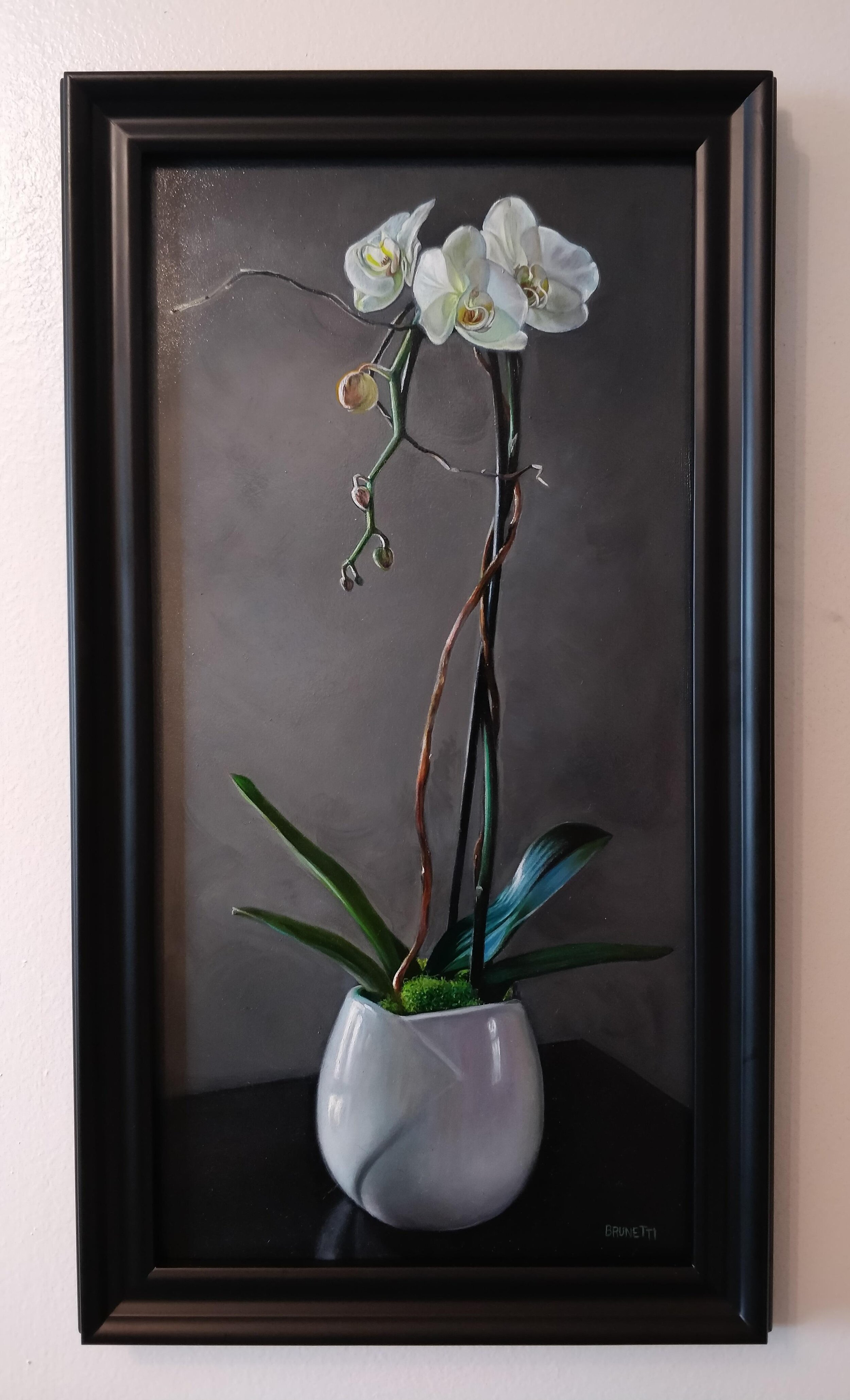 Orchid in Vase