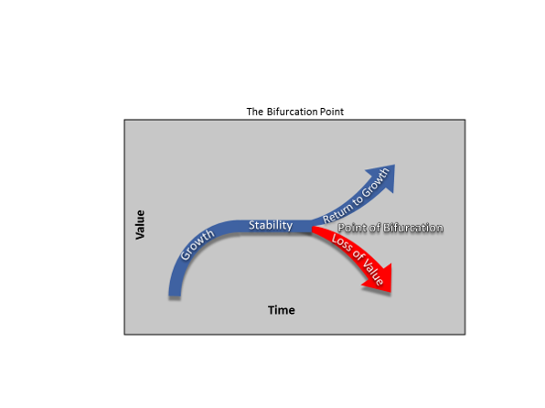Will 2019 be your CX program’s ‘bifurcation point’?   