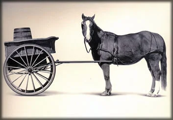 With CX Technology Investments – Are you putting the cart before the horse? 