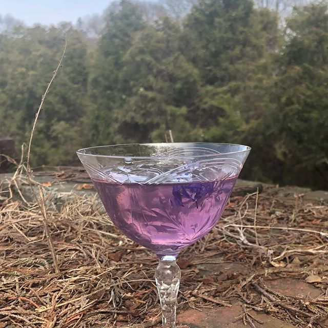 Cheers to spring! Thanks @karyn_michael_events for gorgeous vintage glasses #aviationcocktail