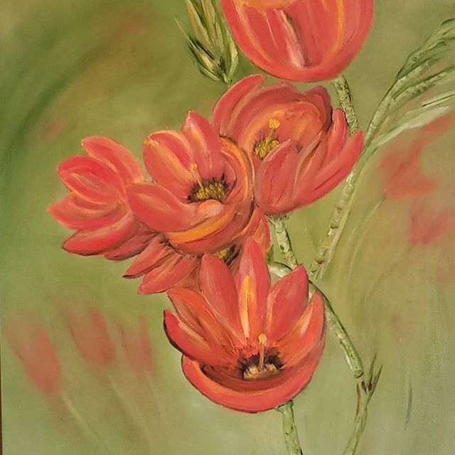 New flower oil paintings by Patricia Cream, Creamincolor 
Creating new a style and depth has been a true growth experience.  All will be available in prints and notecards. #flowers #oilpaintings #paintings