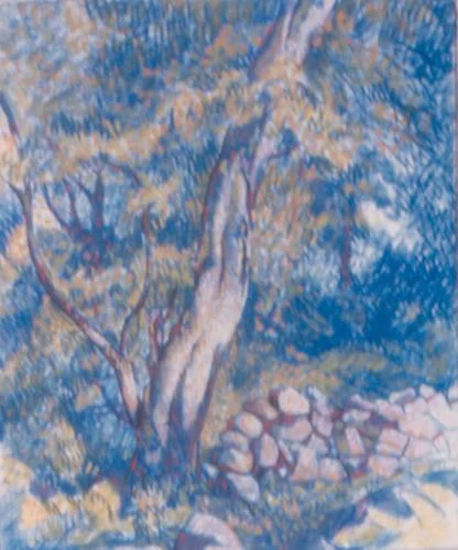 CSF24202.jpg