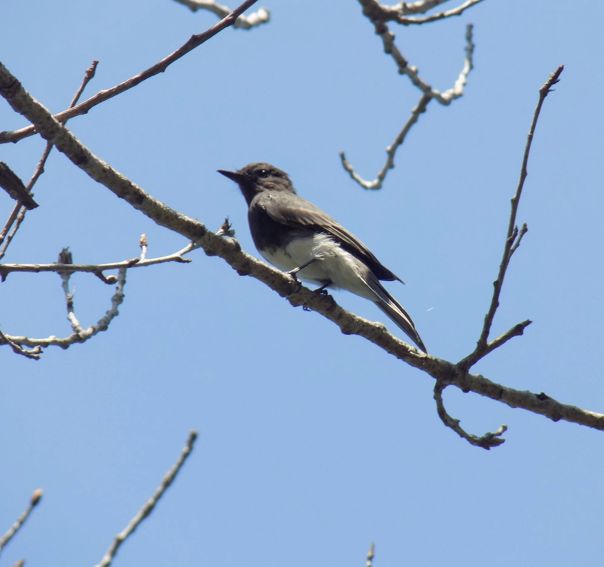DSCN1354.JPG