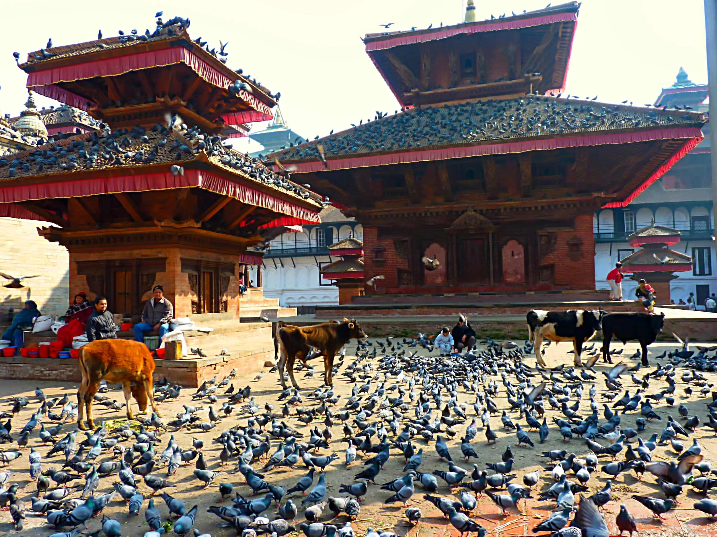 Nepal.jpeg