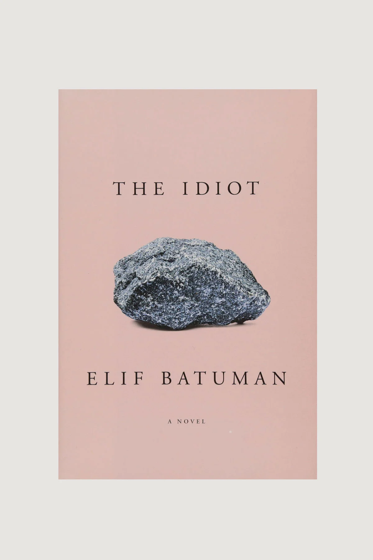 idiot_1.jpg