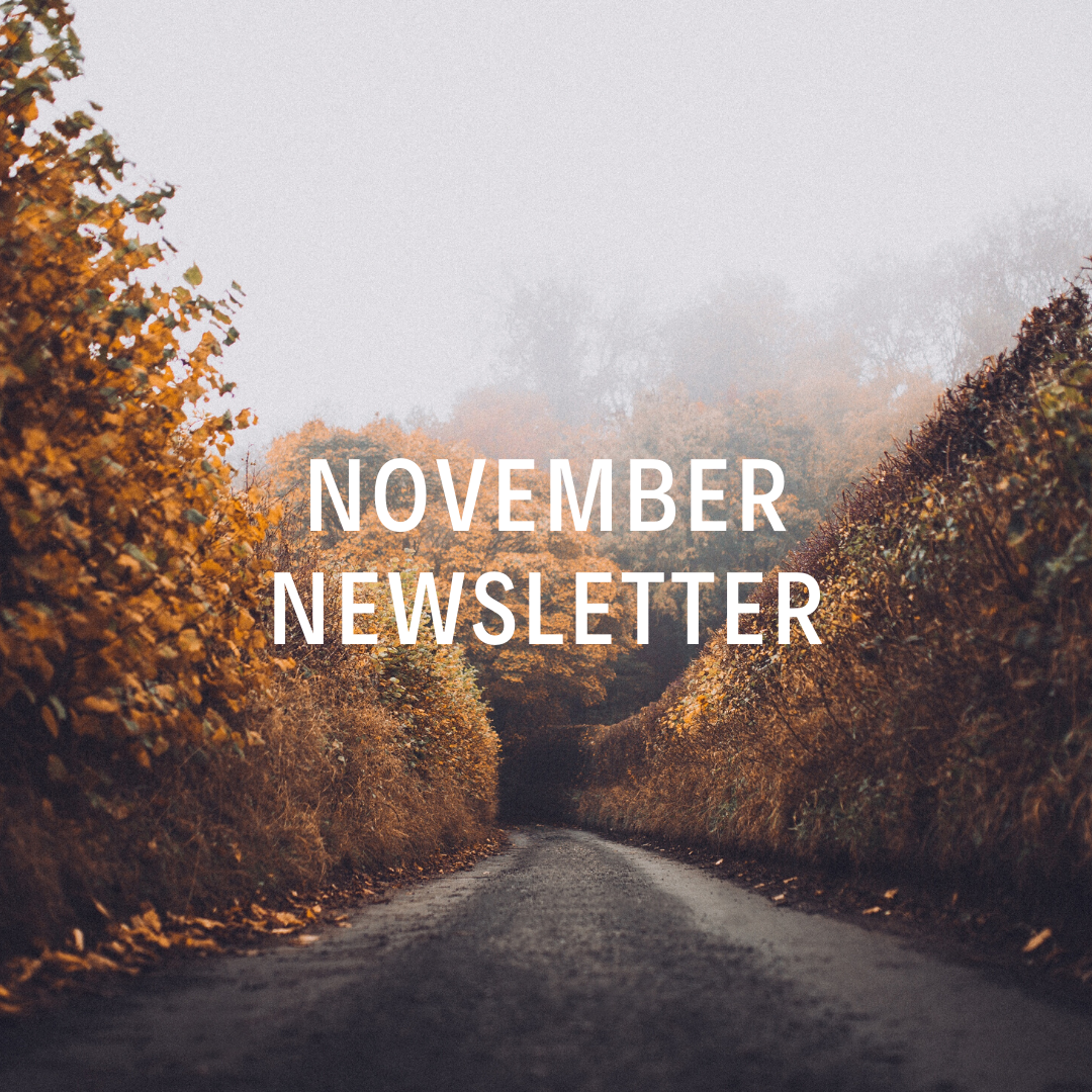 November Newsletter