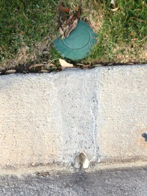 Pop up emitter with 1 inch pipe.JPG