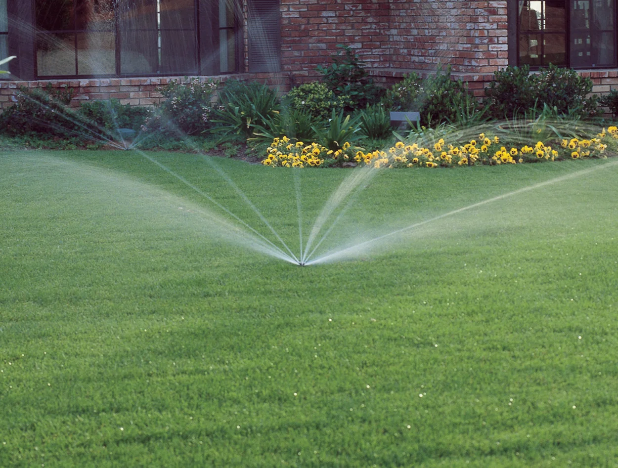 water lawn 2.jpg