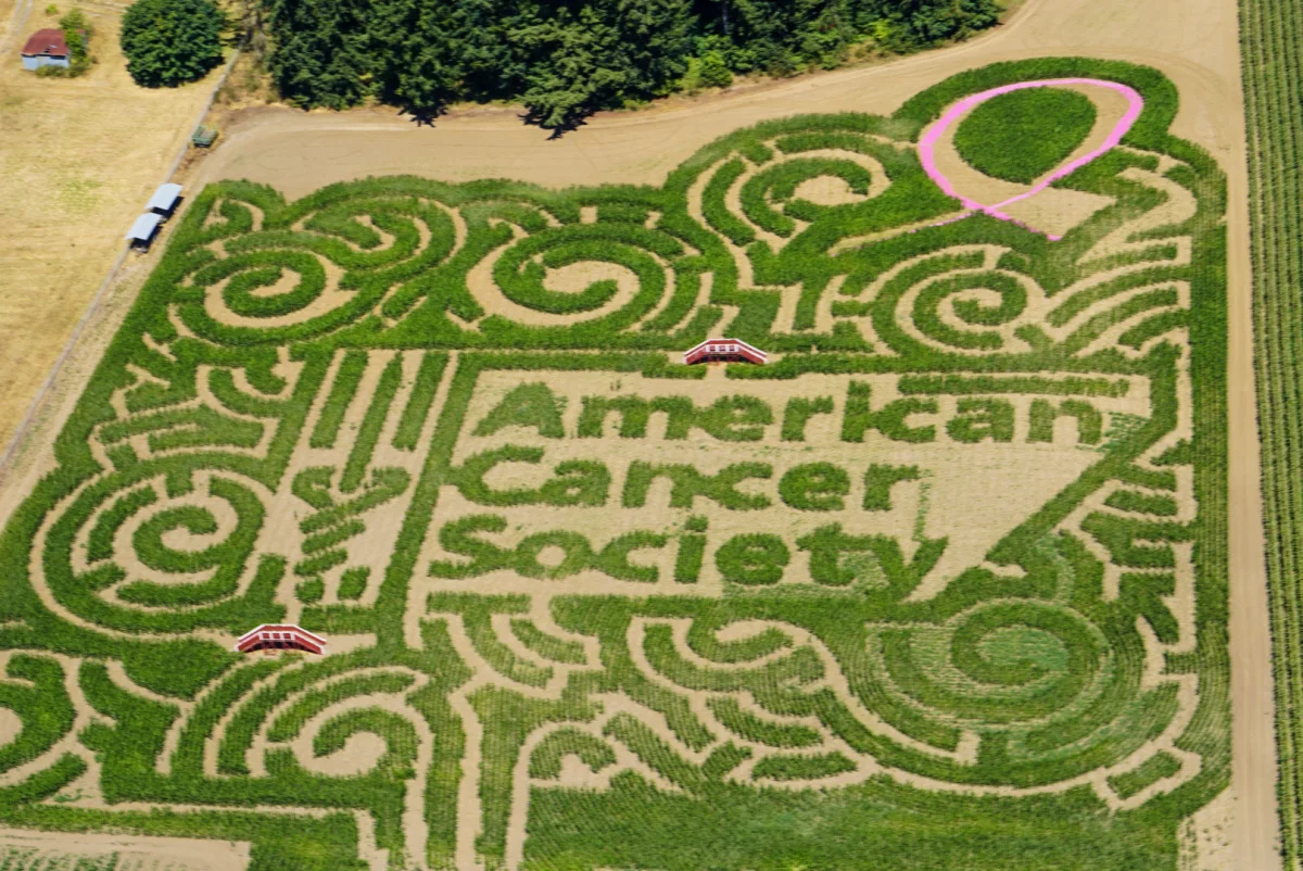 Washington’s Capital Region Announces Line-up of Fall Happenings