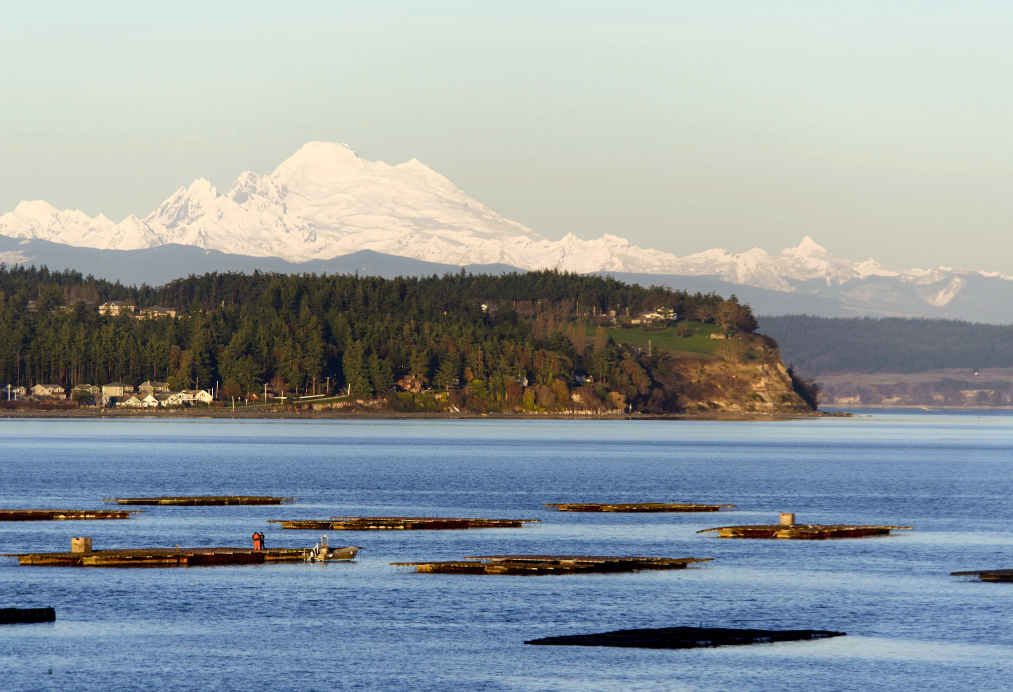 Harborside Happenings, Seasonal Sips on Whidbey and Camano Islands