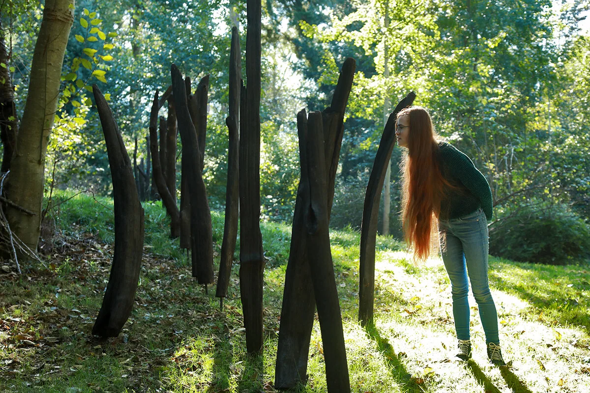 New Art Installation + Virtual Visit Series on Whidbey Island Connects Visitors With Nature, From Anywhere