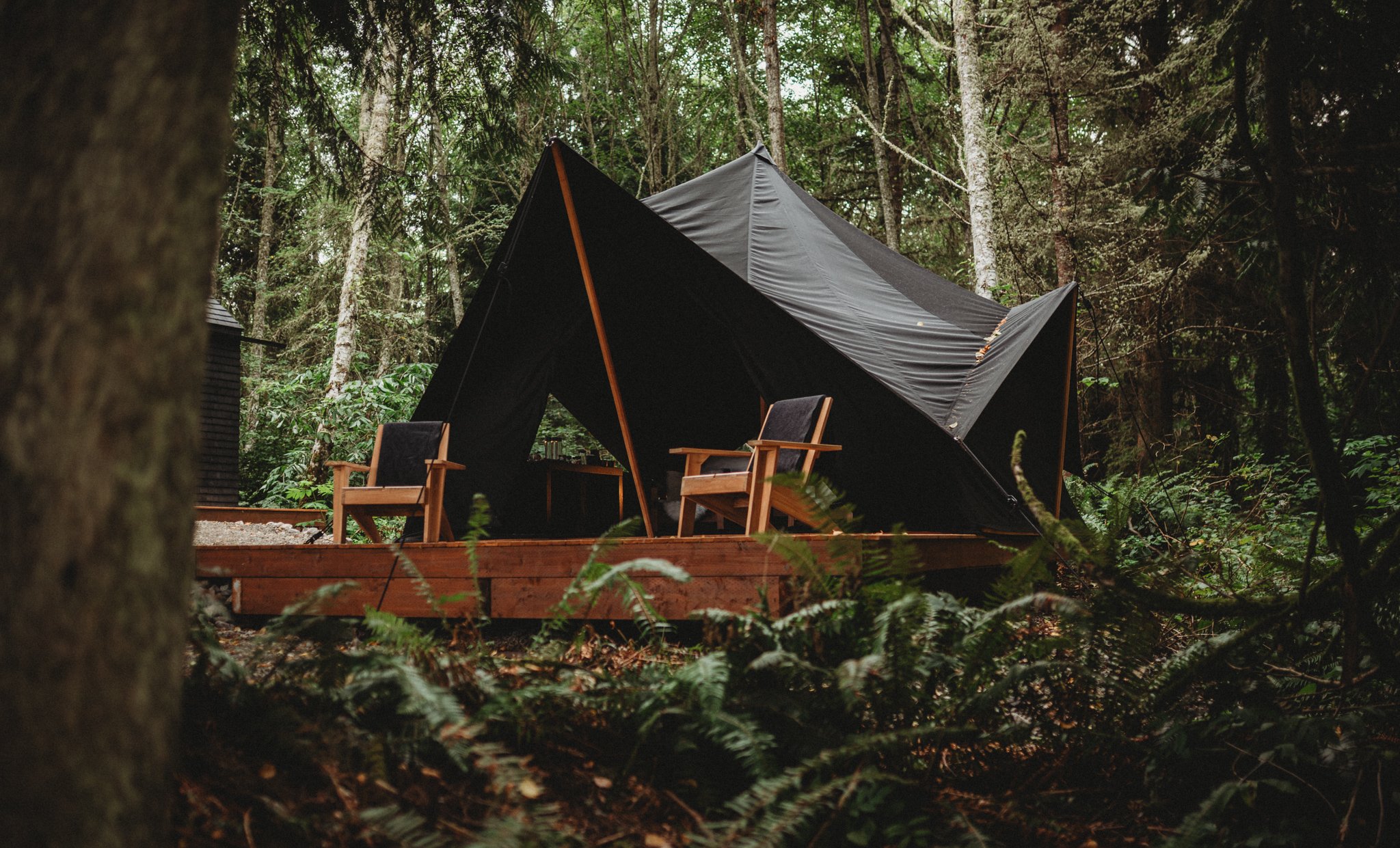 A New Adults-Only Forest Retreat Opens on Washington’s Olympic Peninsula