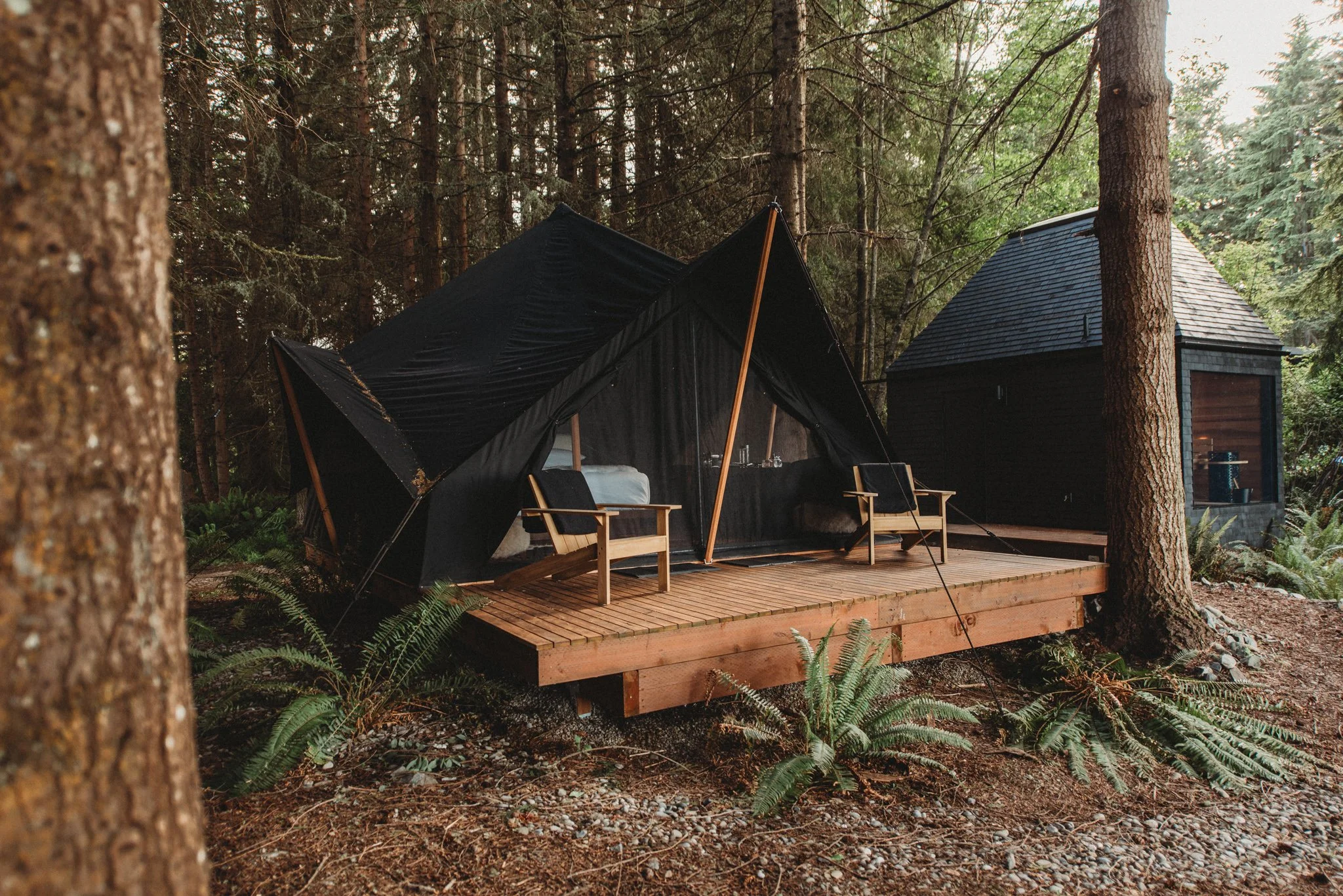 exterior-grand-fir (1).jpg