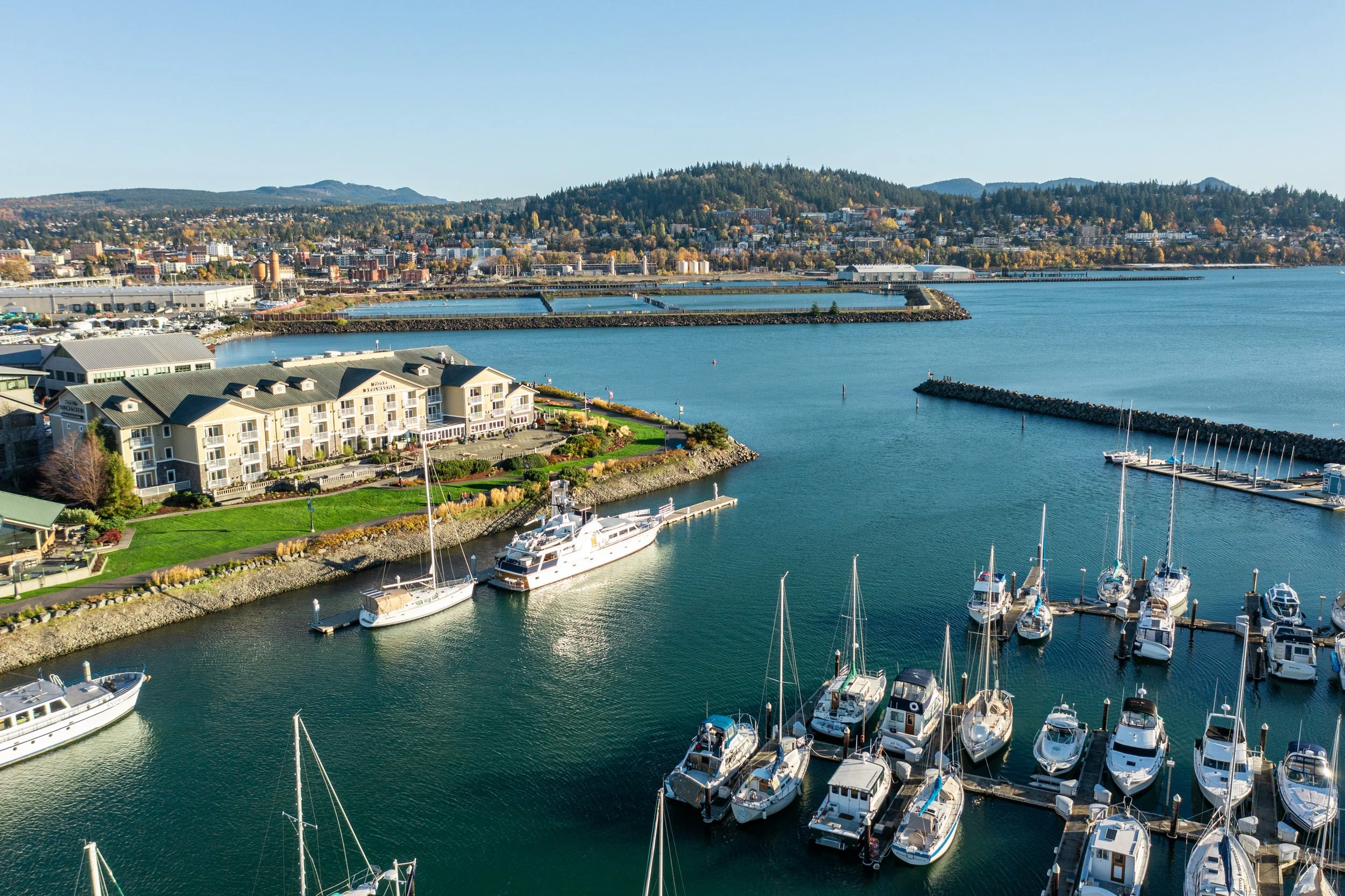 Where Tulips Meet the Sea: Hotel Bellwether Debuts Spring Getaways with Halibut, Hikes &amp; Waterfront Luxury