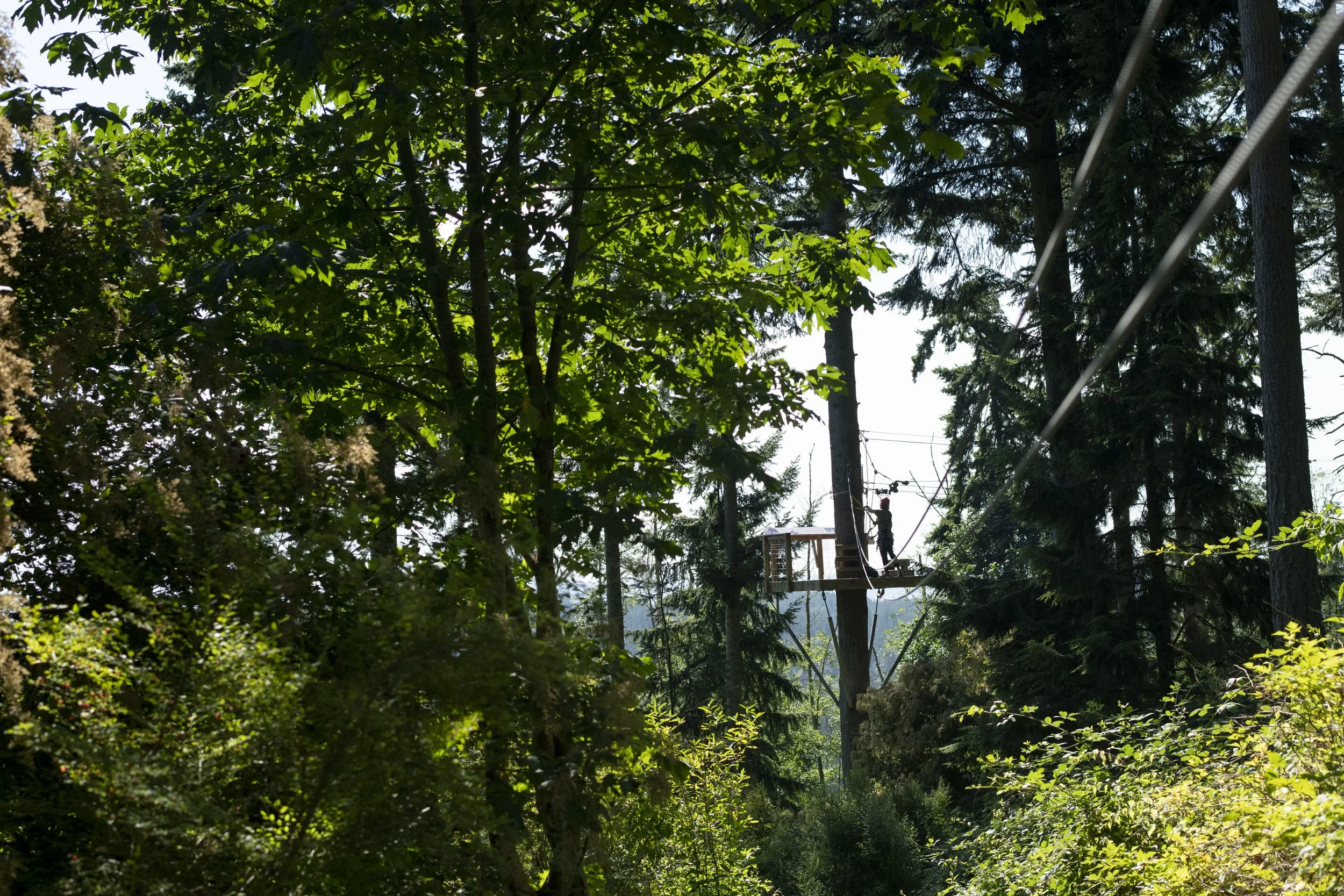 Copy of _DSC0097.jpeg