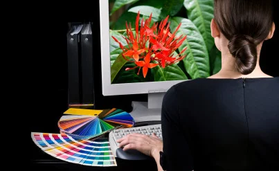Graphic Design.jpg