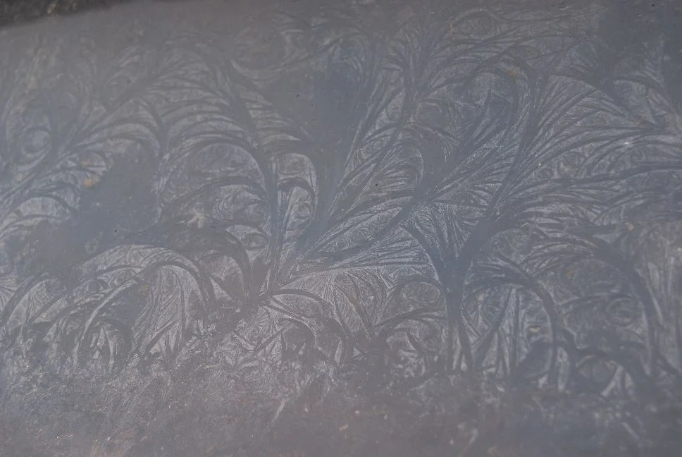 20120203_frost patterns on the poultry room window