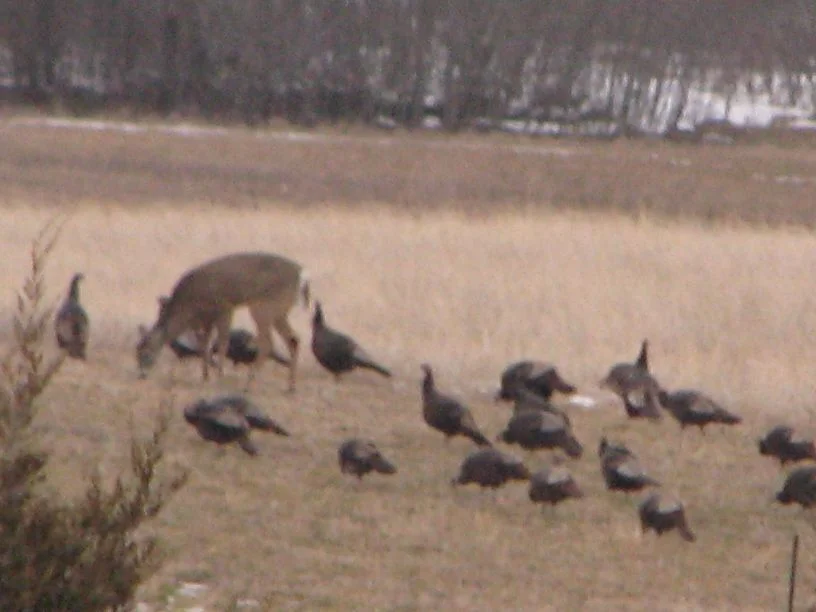 20110315_0462_013.jpg