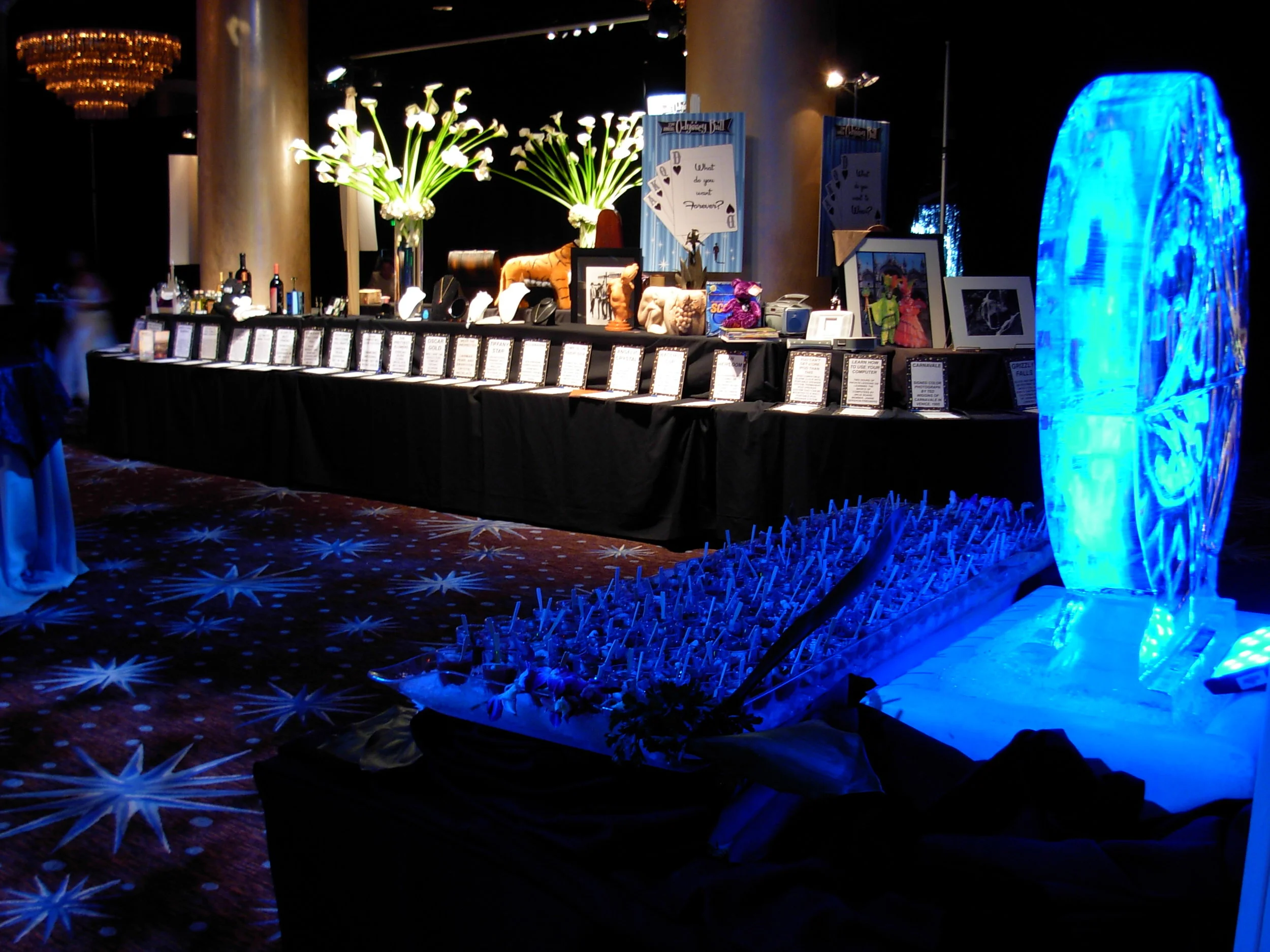 Odyssey Ball 045.jpg