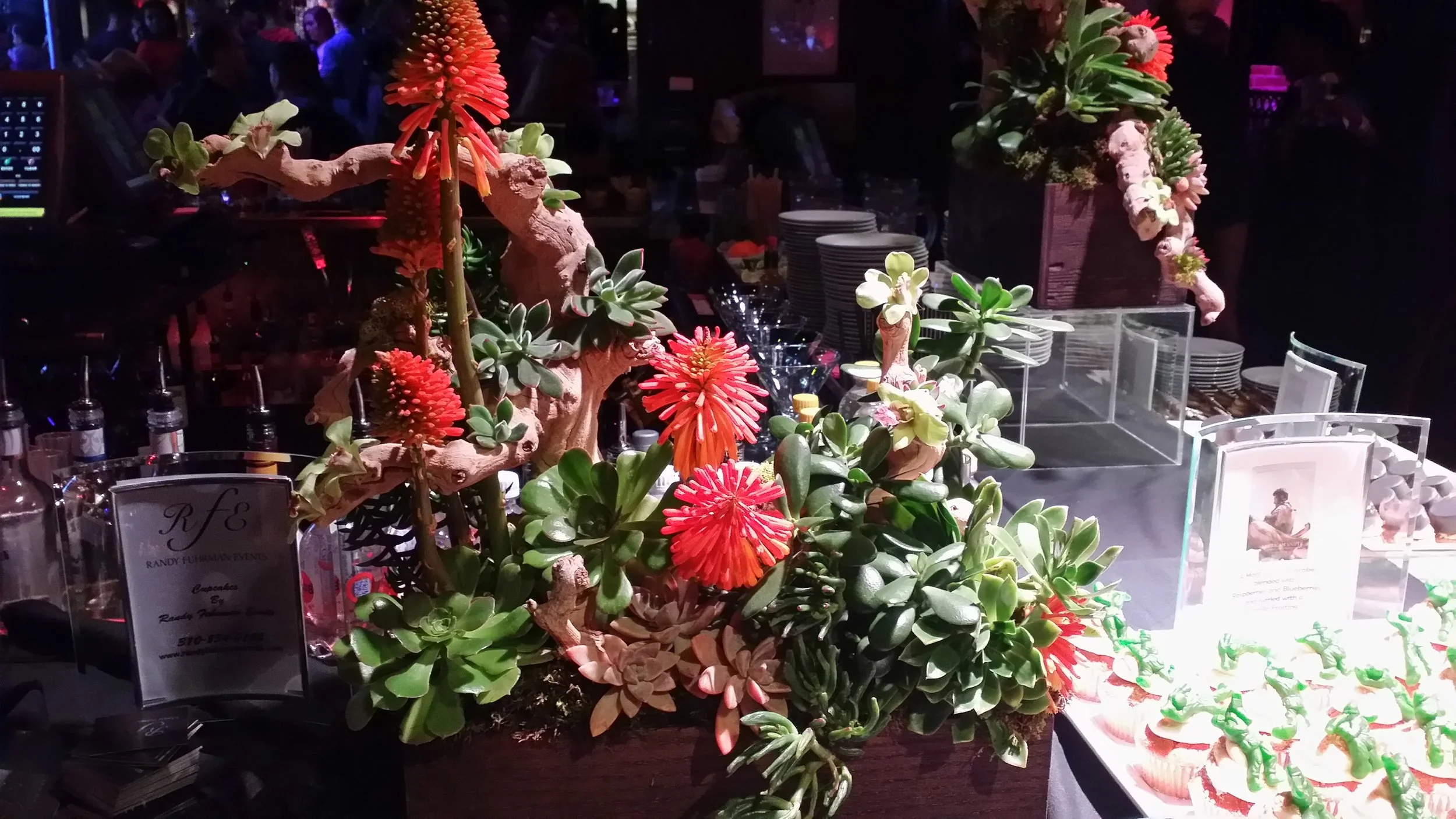 20150222_173720.jpg
