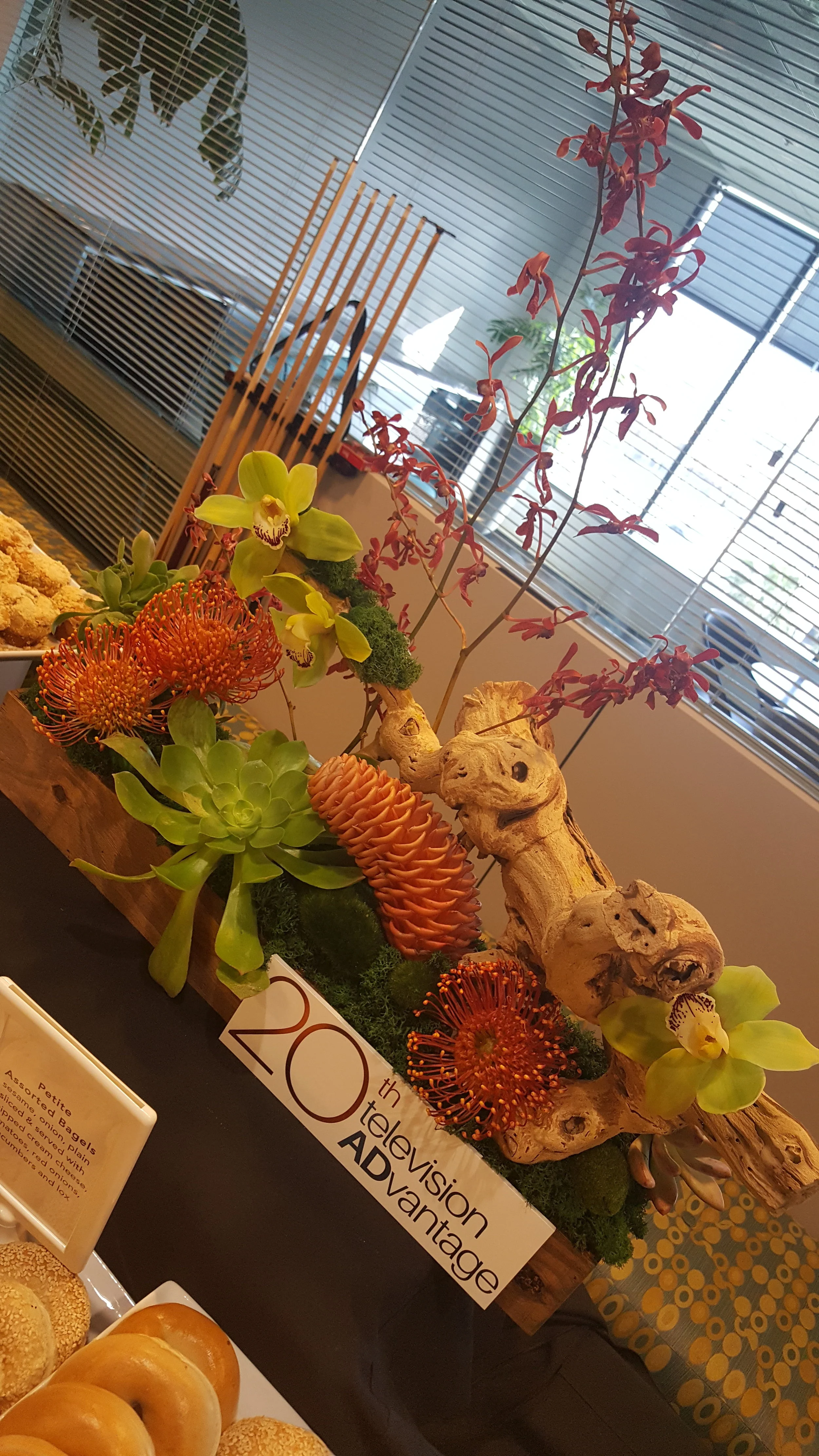 20180411_090602.jpg