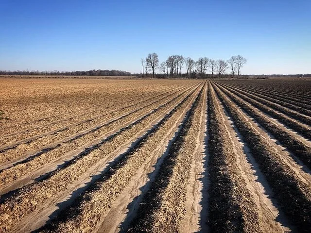 It won&rsquo;t be long now before the fields are green again! #croptopop