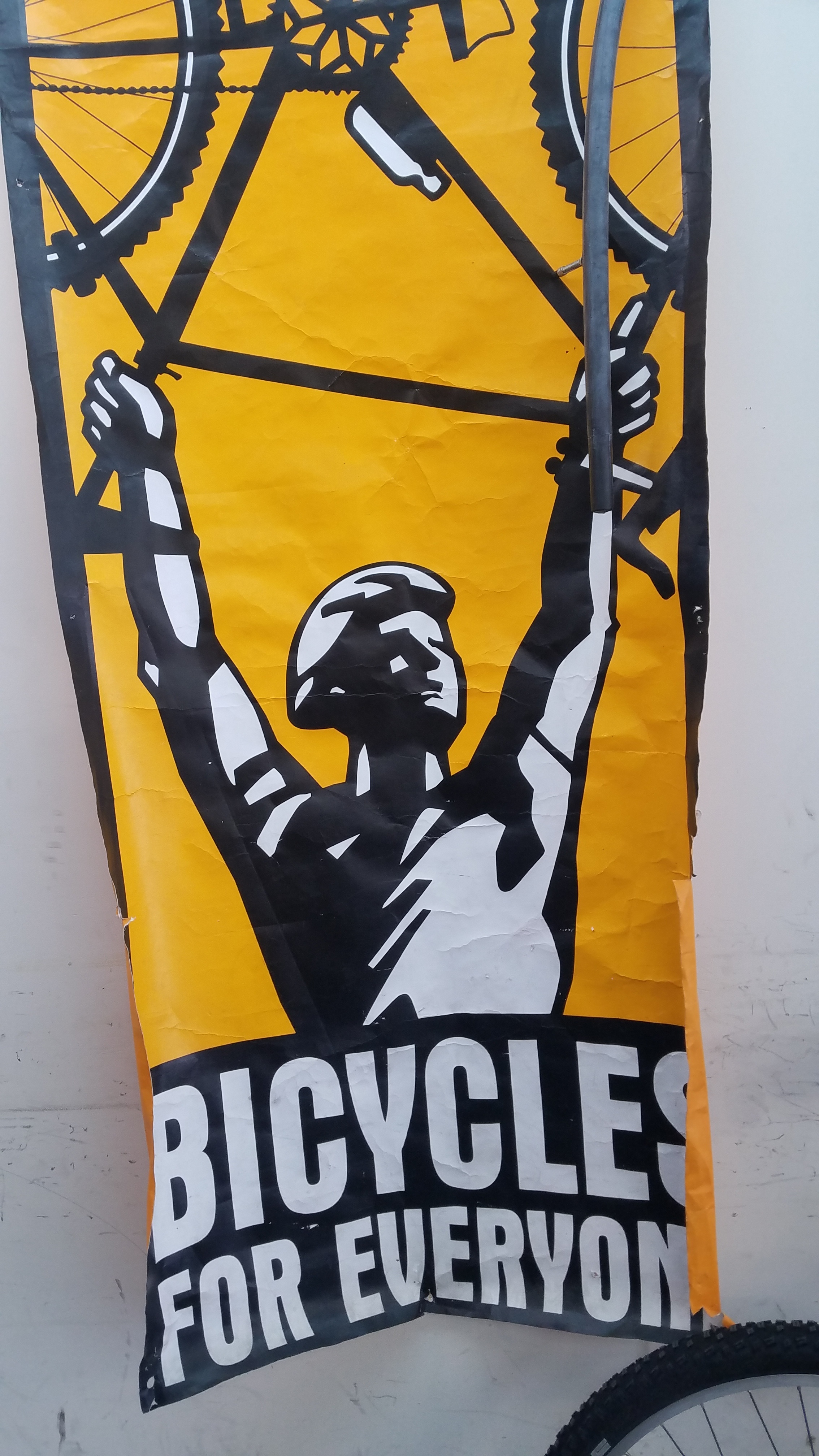 20190406_115249.jpg