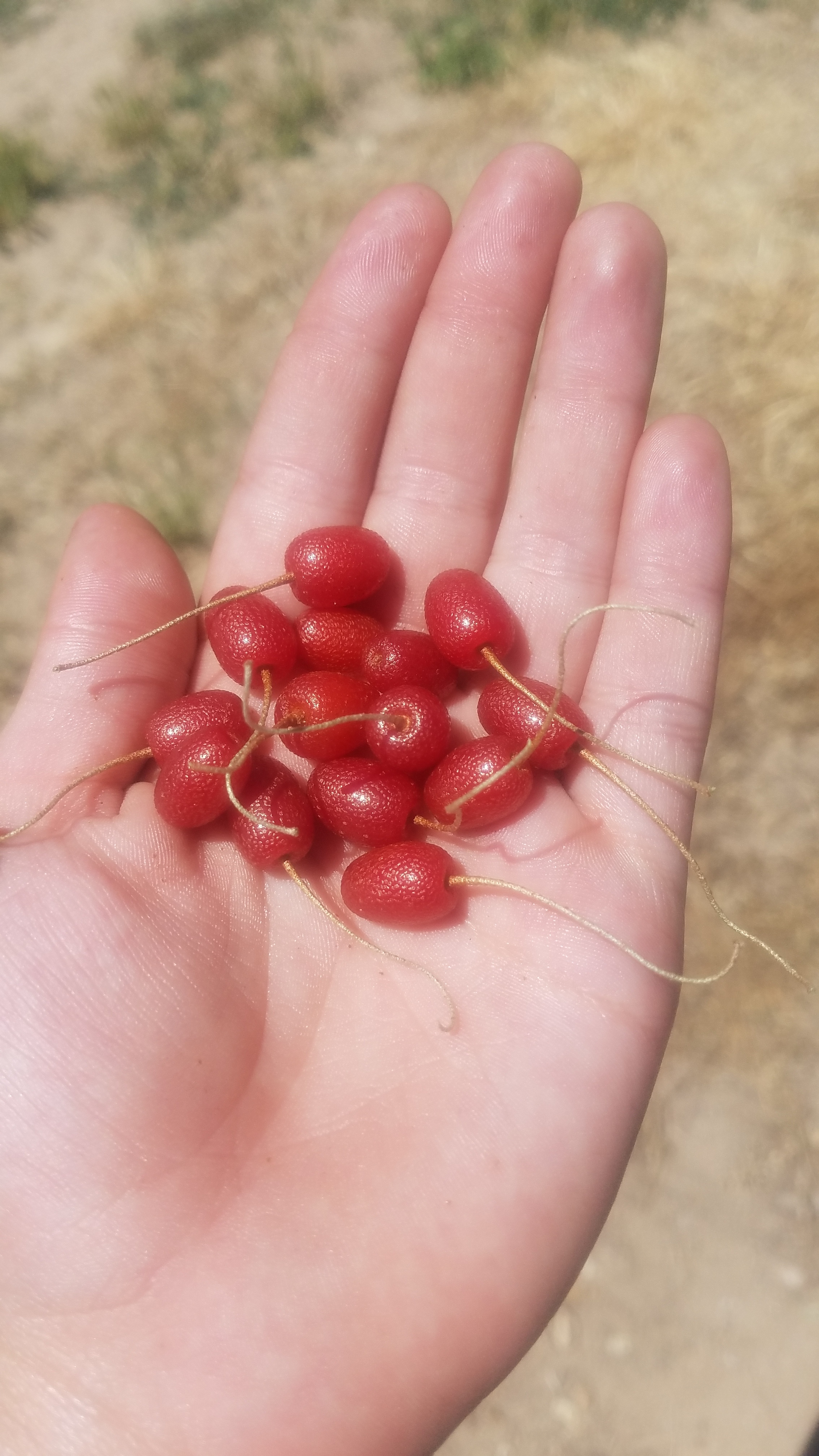 20190623_133826.jpg