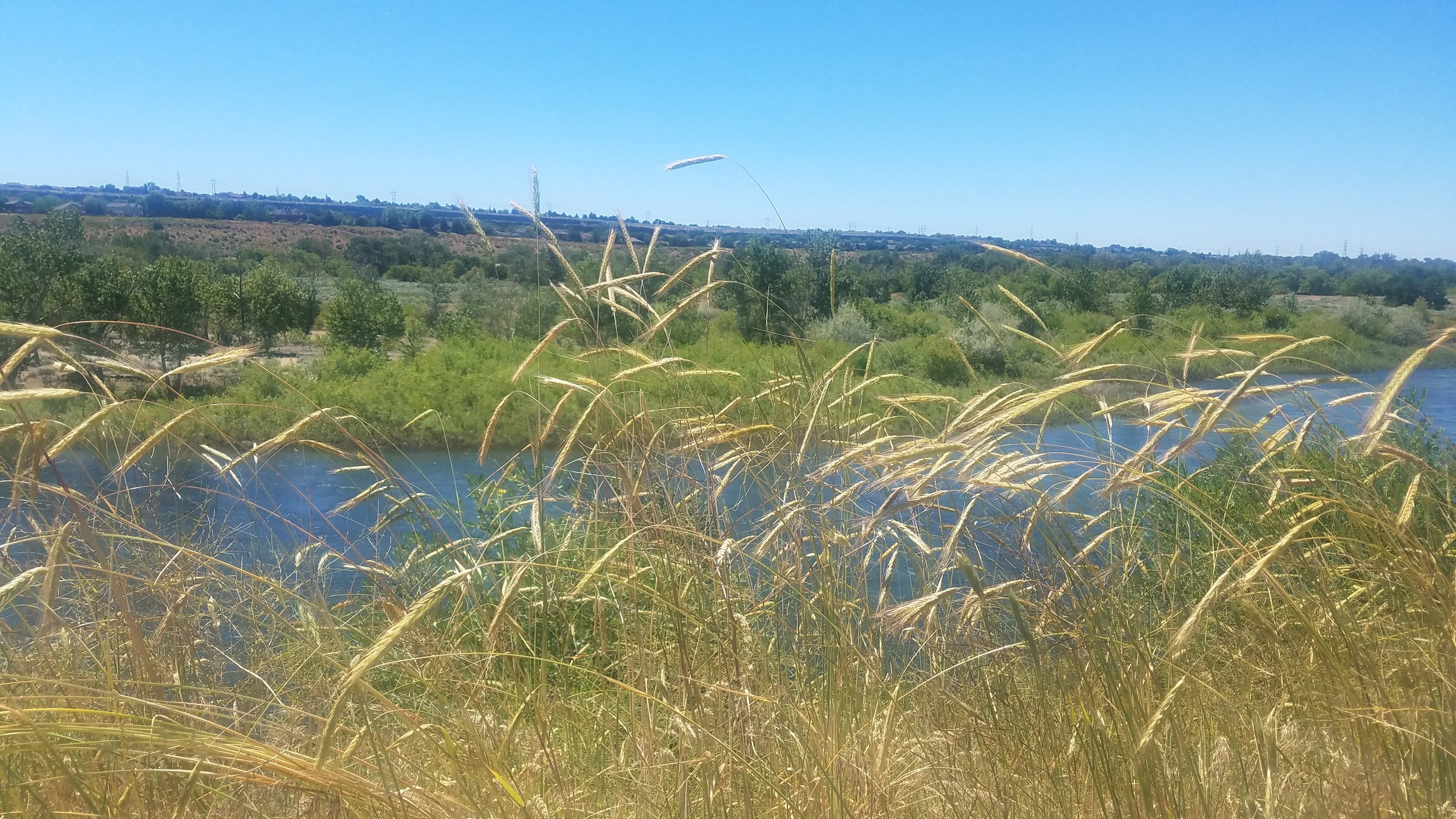 20190623_144217.jpg