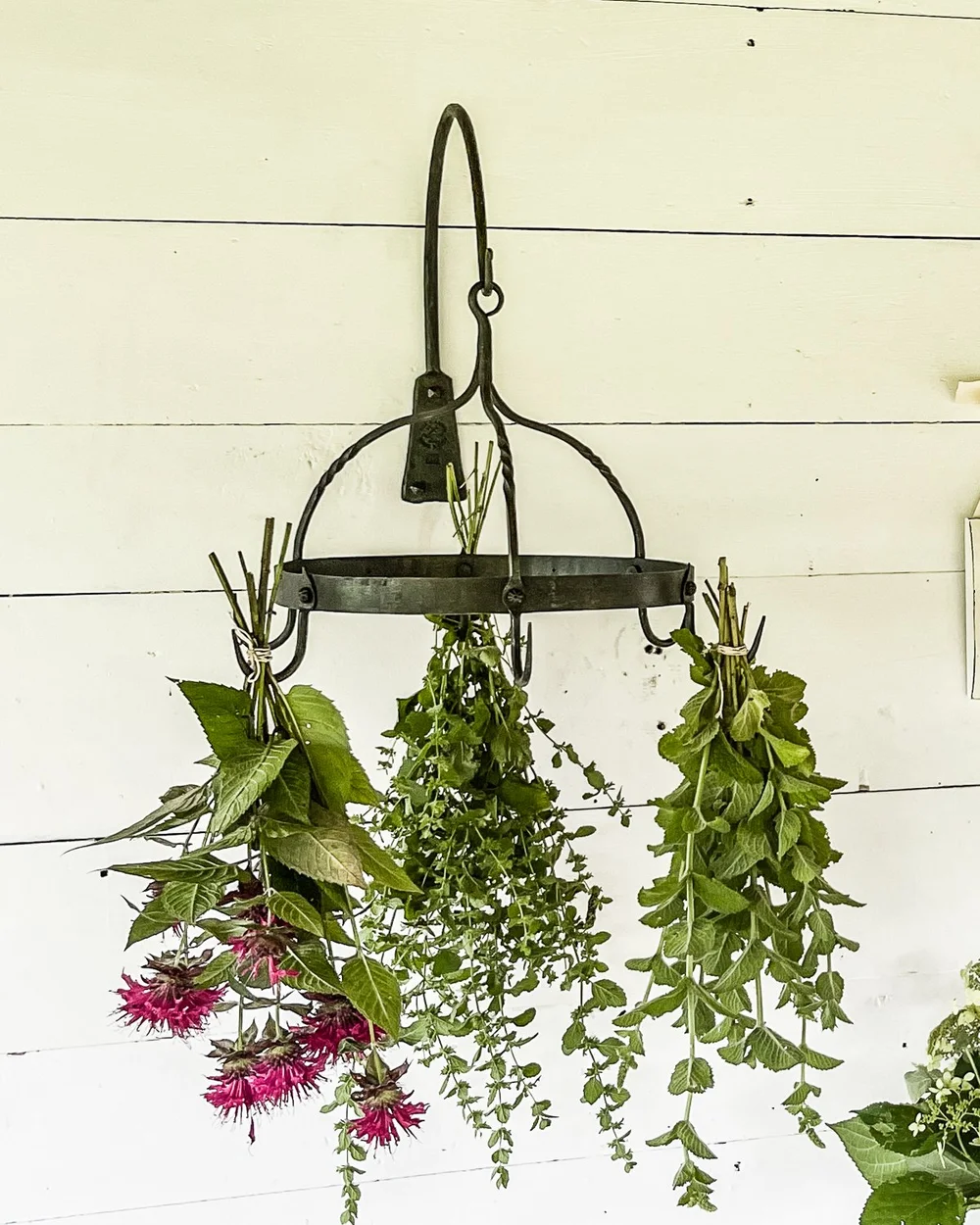 ceramic hanging planter Ceramic Hanging Bat Planter By Kalalou  Modish Store