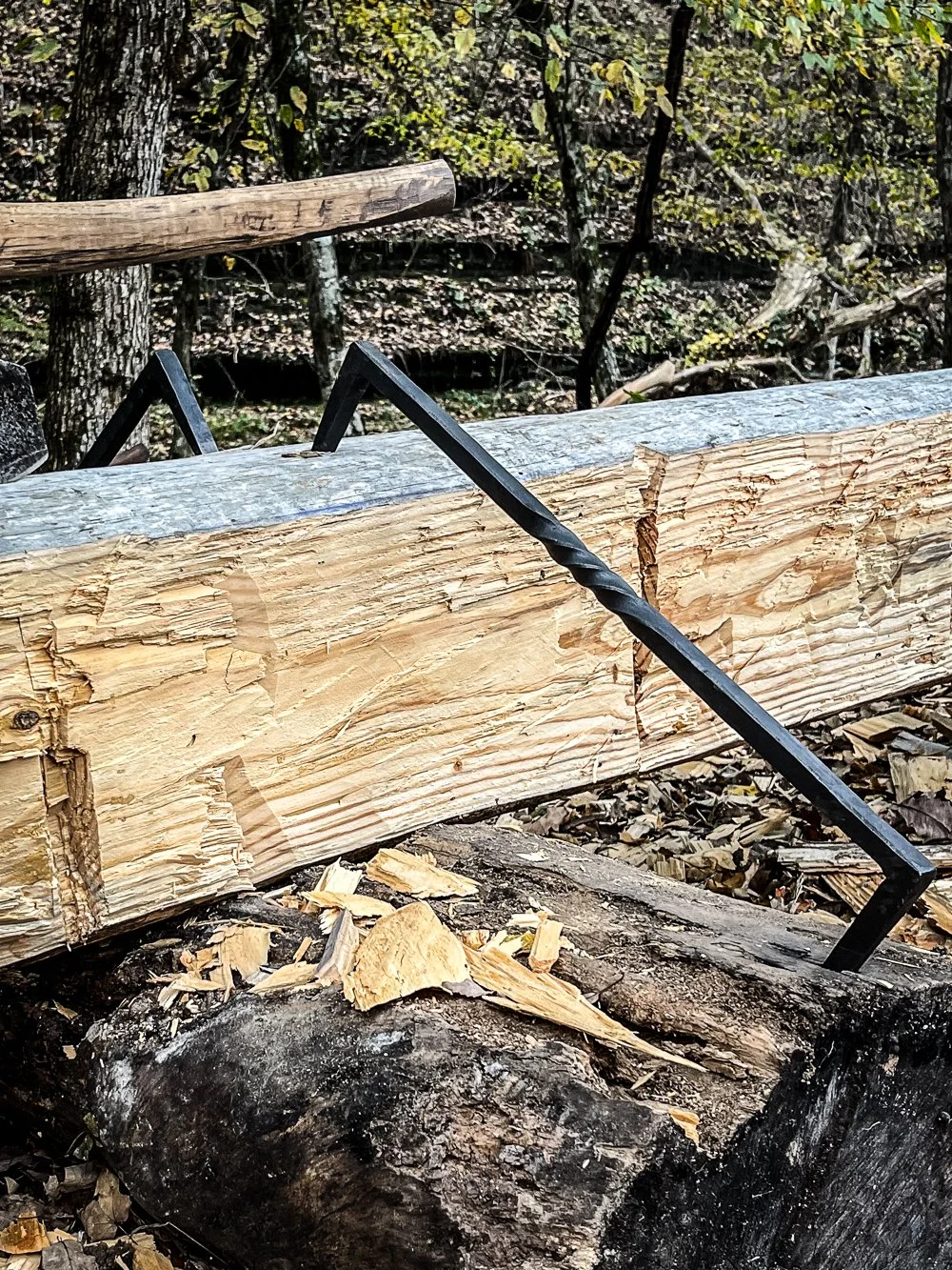 log dog-8.jpg