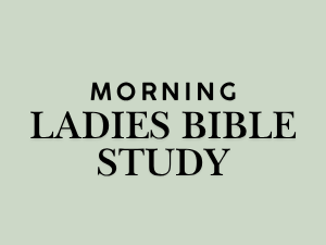 Morning-Ladies Bible Study  
