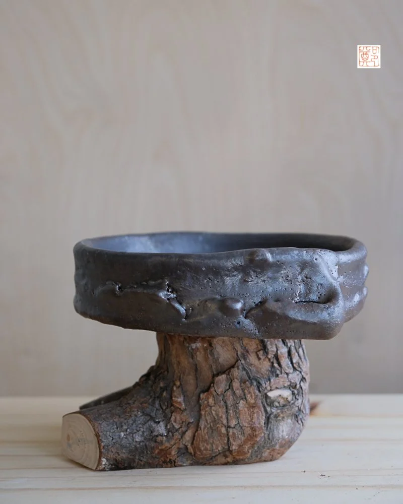 Bonsai Vessel 04