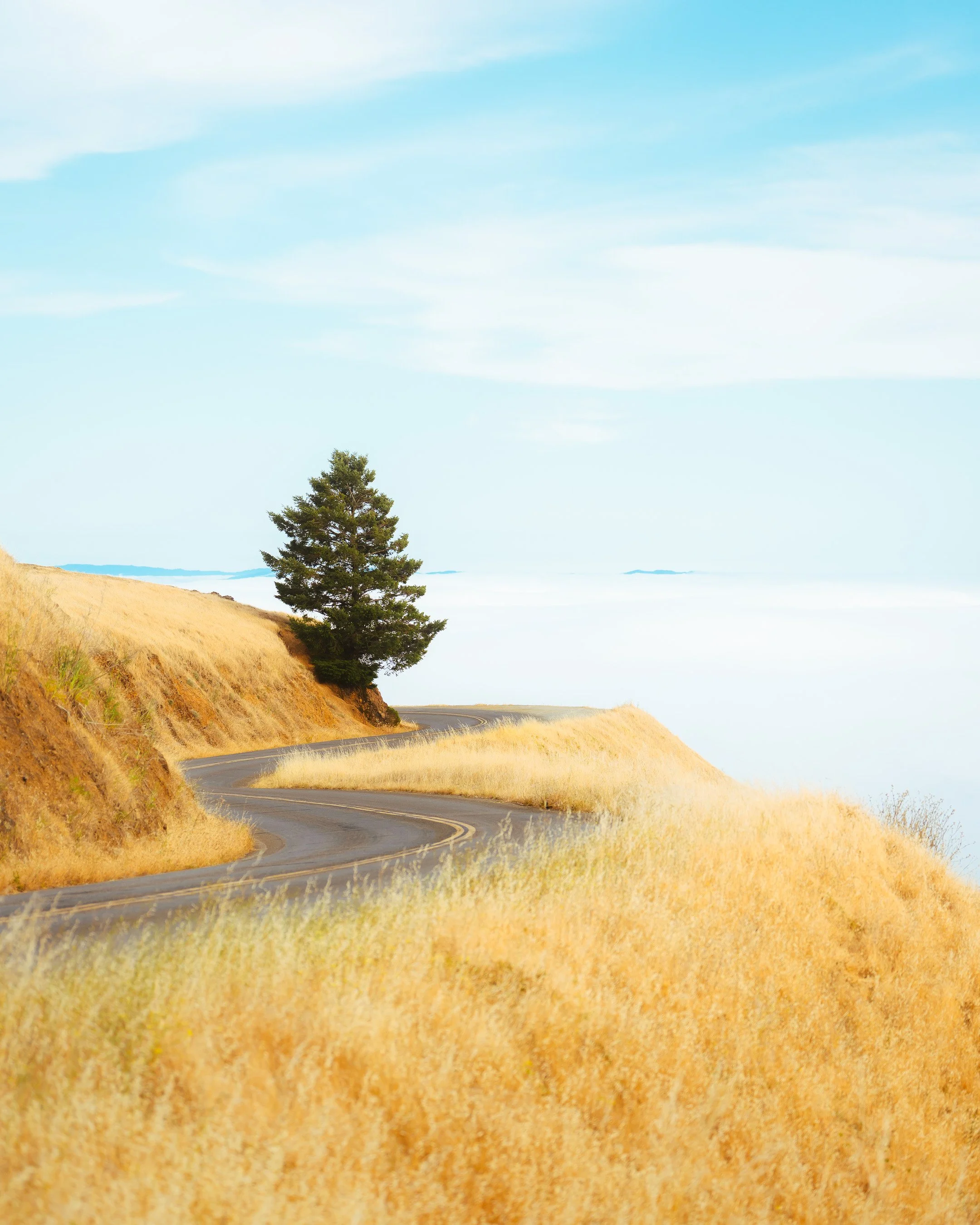 DSC06004.jpg